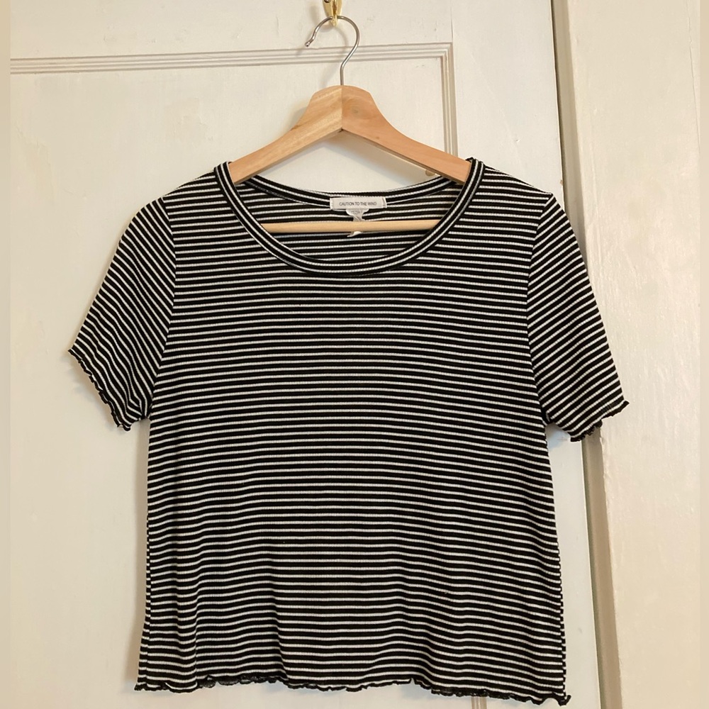 Caution to the Wind Striped Crop Top